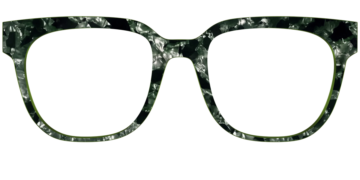 The Olive Pearl Tortoise