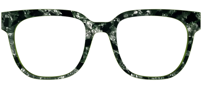 The Olive Pearl Tortoise
