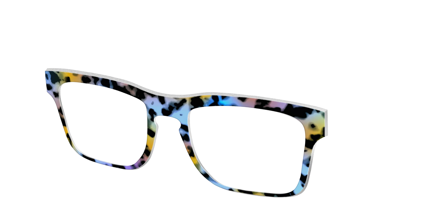 The Positano Tortoise