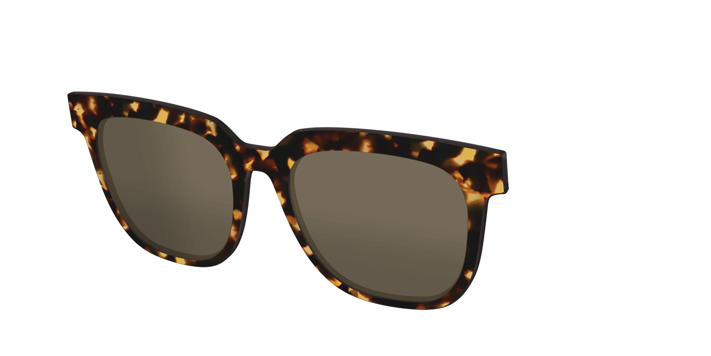 The Non-Polarized Tortoise Sun Top