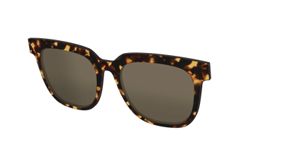 The Non-Polarized Tortoise Sun Top