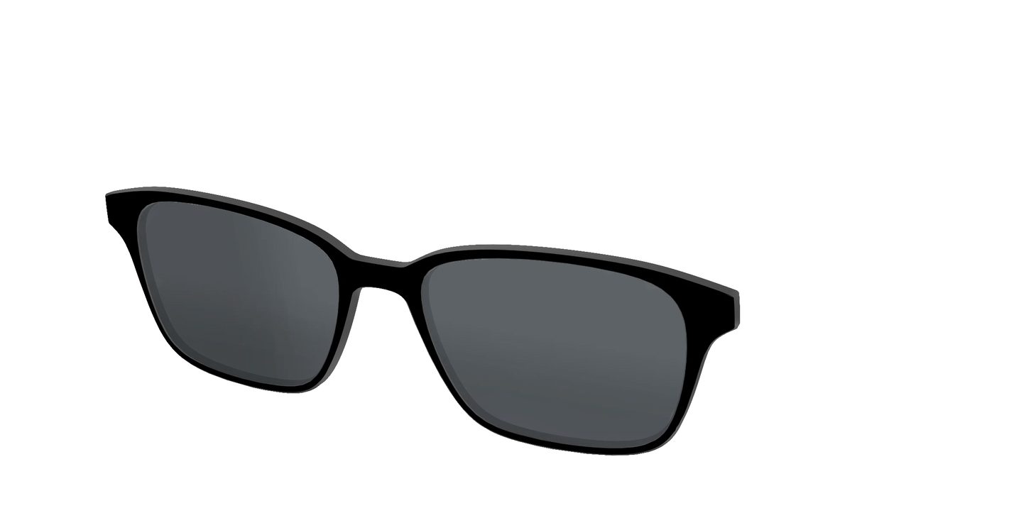 The Polarized Black Sun Top