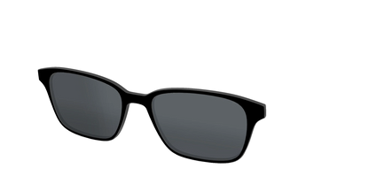 The Polarized Black Sun Top