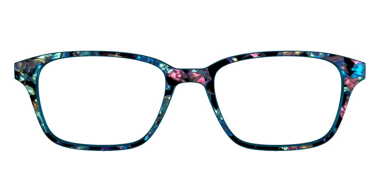The Black Prismatic Pearl Tortoise