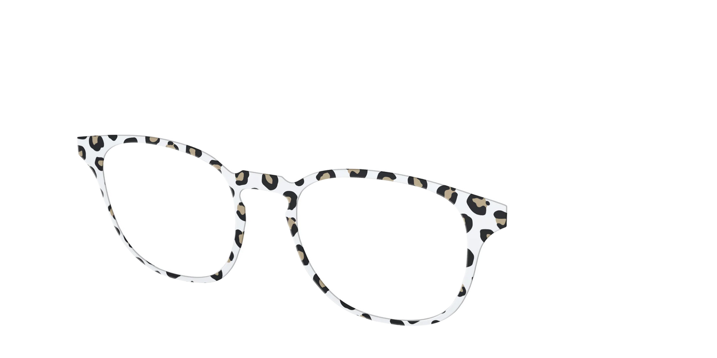 The Classic Cheetah
