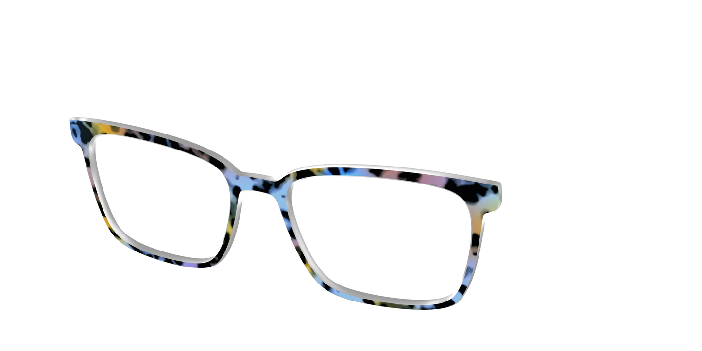 The Positano Tortoise