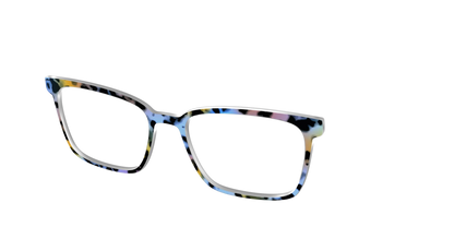 The Positano Tortoise