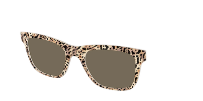 The Polarized Wild Cat Sun Top