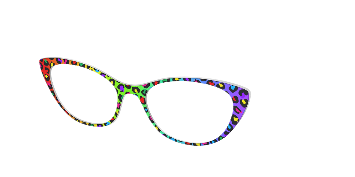 The Rainbow Cheetah