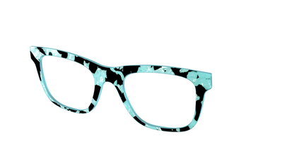 The Robin's Egg Pearl Tortoise
