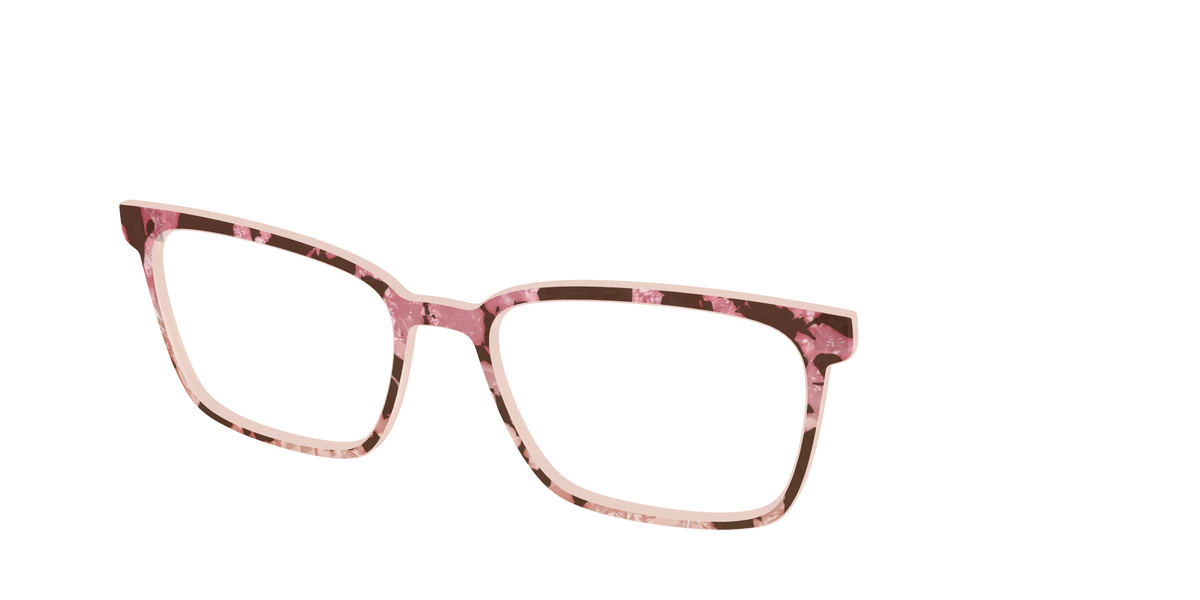 The Pale Peach Pearl Tortoise