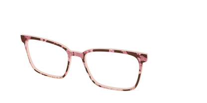 The Pale Peach Pearl Tortoise