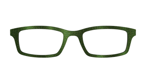 The Olive Shimmer