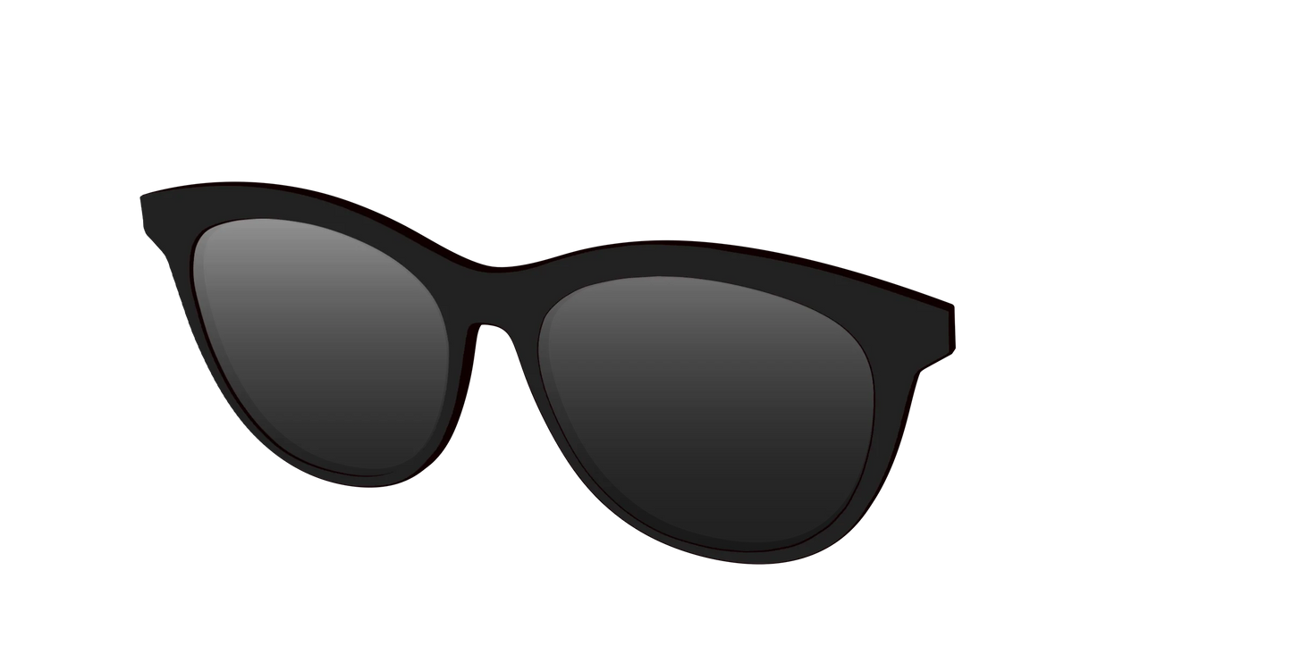 The Polarized Black Sun Top