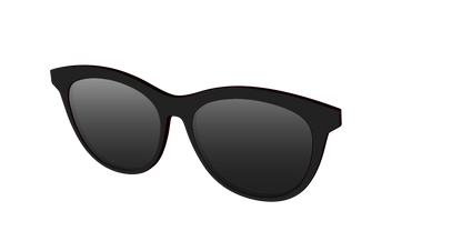 The Polarized Black Sun Top