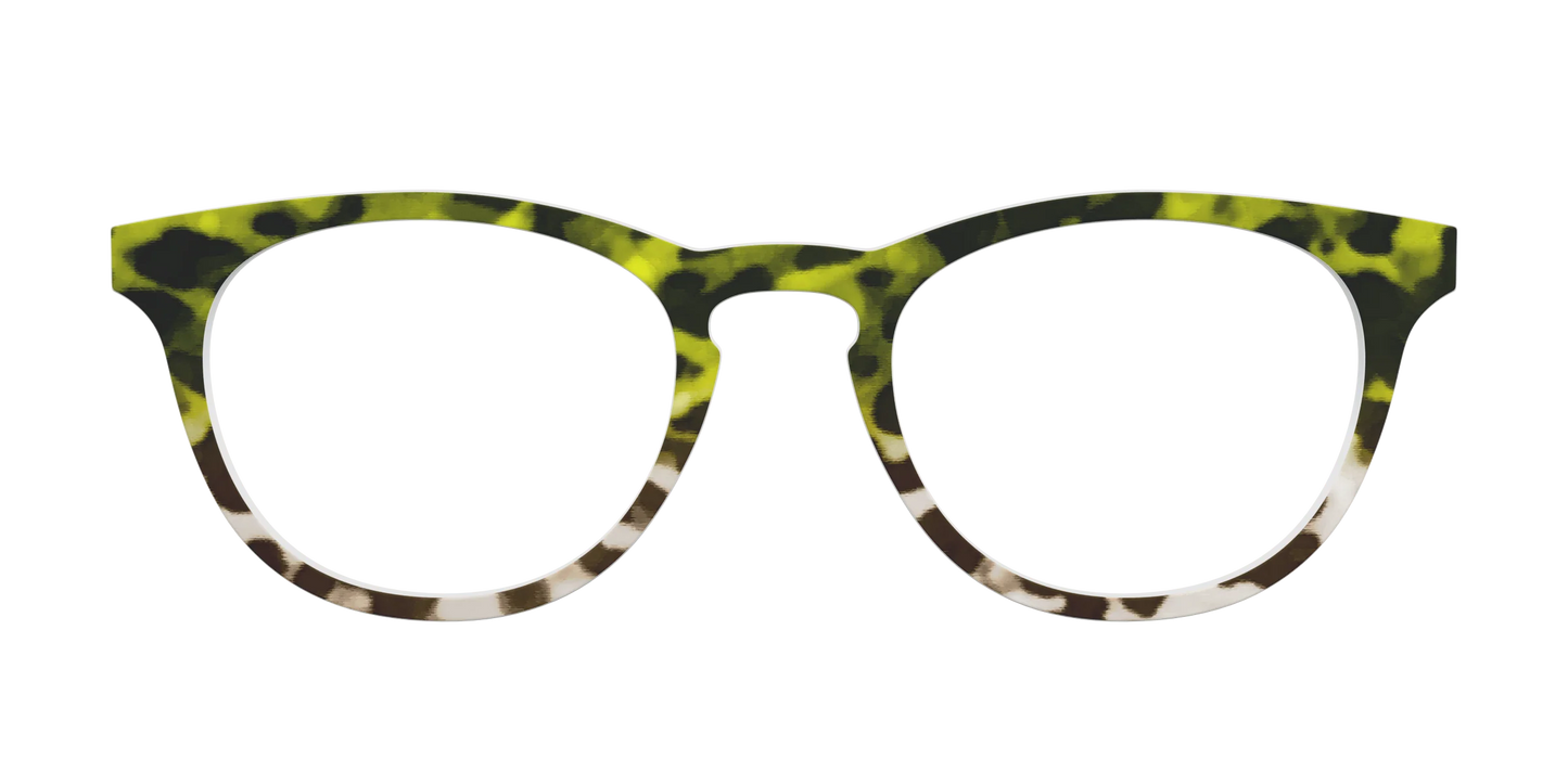 The Avocado to Ivory Tortoise