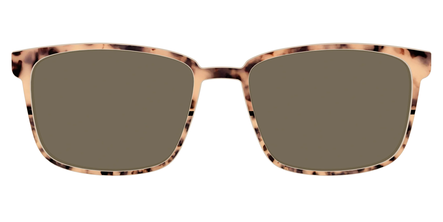 The Polarized Bisque Tortoise Split Sun Top