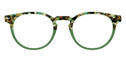 The Forest Tortoise Crystal Split