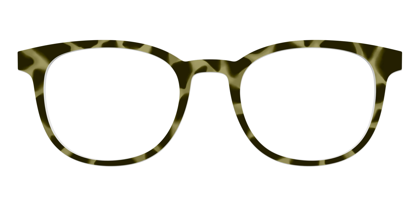 The Olive Tortoise