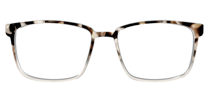 The Vanilla Latte Tortoise