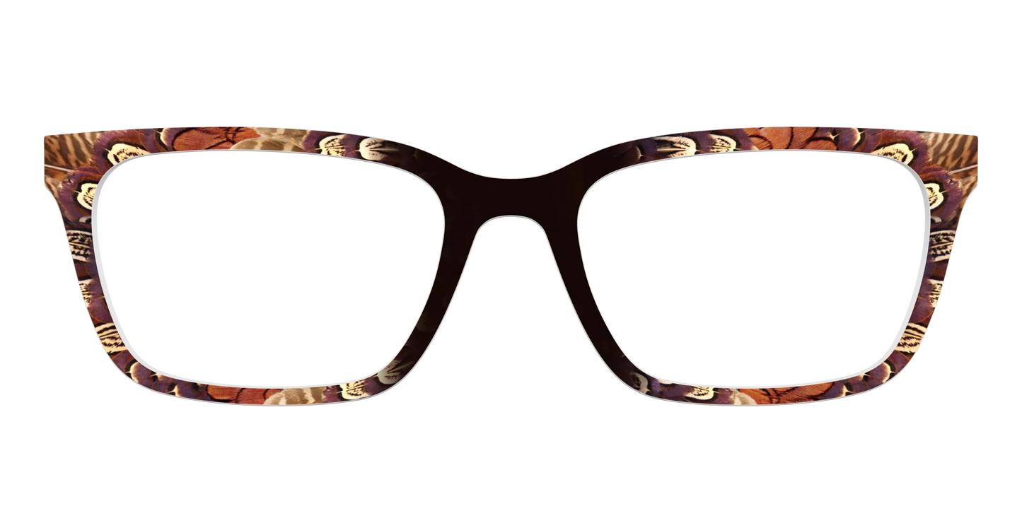 The Pheasant Feathers