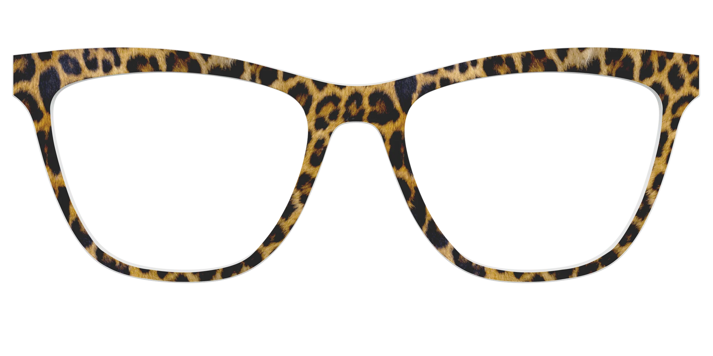 The Cheetah Spots