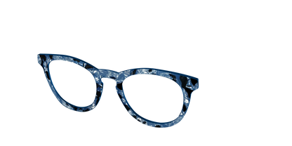 The Midnight Blue Pearl Tortoise