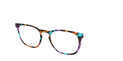 The Summer Tortoise
