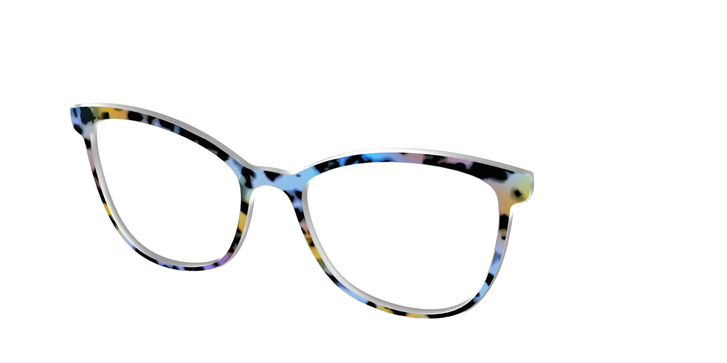 The Positano Tortoise