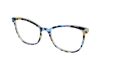 The Positano Tortoise