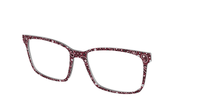 The Western Paisley