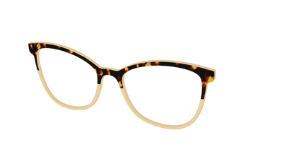 The Amber Tortoise Crystal Split
