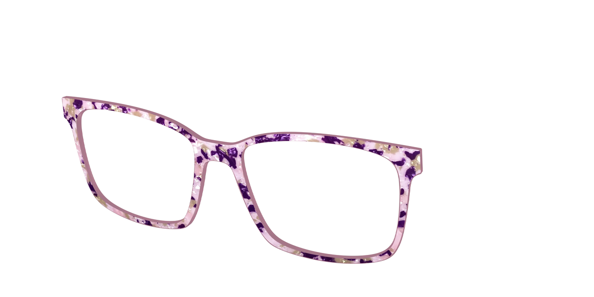 The Spotted Thistle Pearl Tortoise