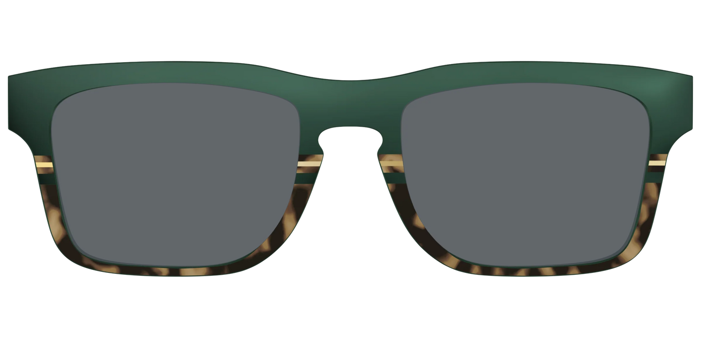 The Polarized Spruce Tortoise Sun Top
