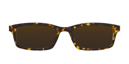 The Polarized Tortoise Sun Top
