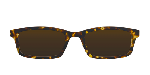 The Polarized Tortoise Sun Top