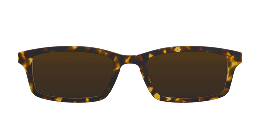 The Polarized Tortoise Sun Top