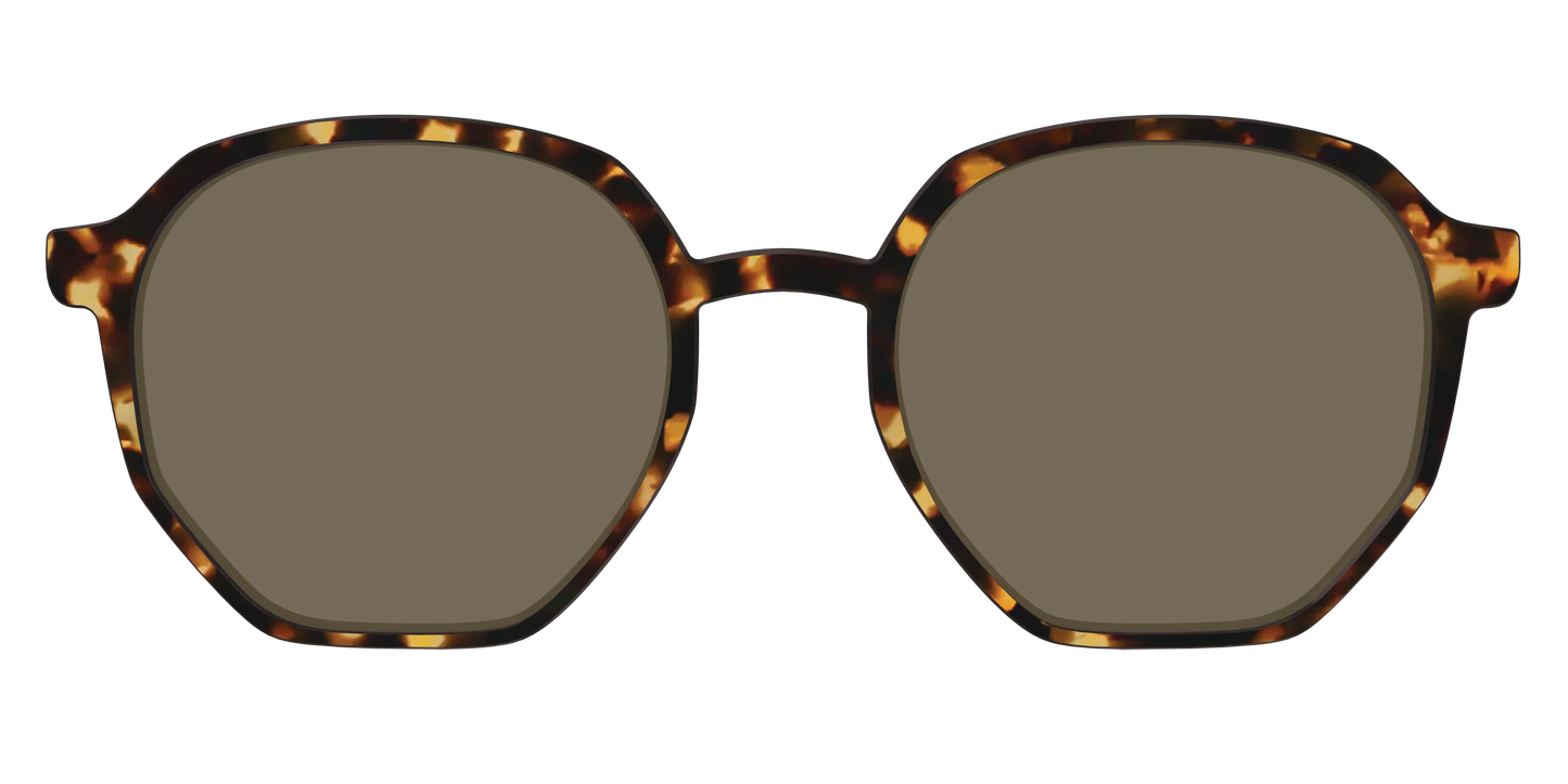 The Polarized Tortoise Sun Top