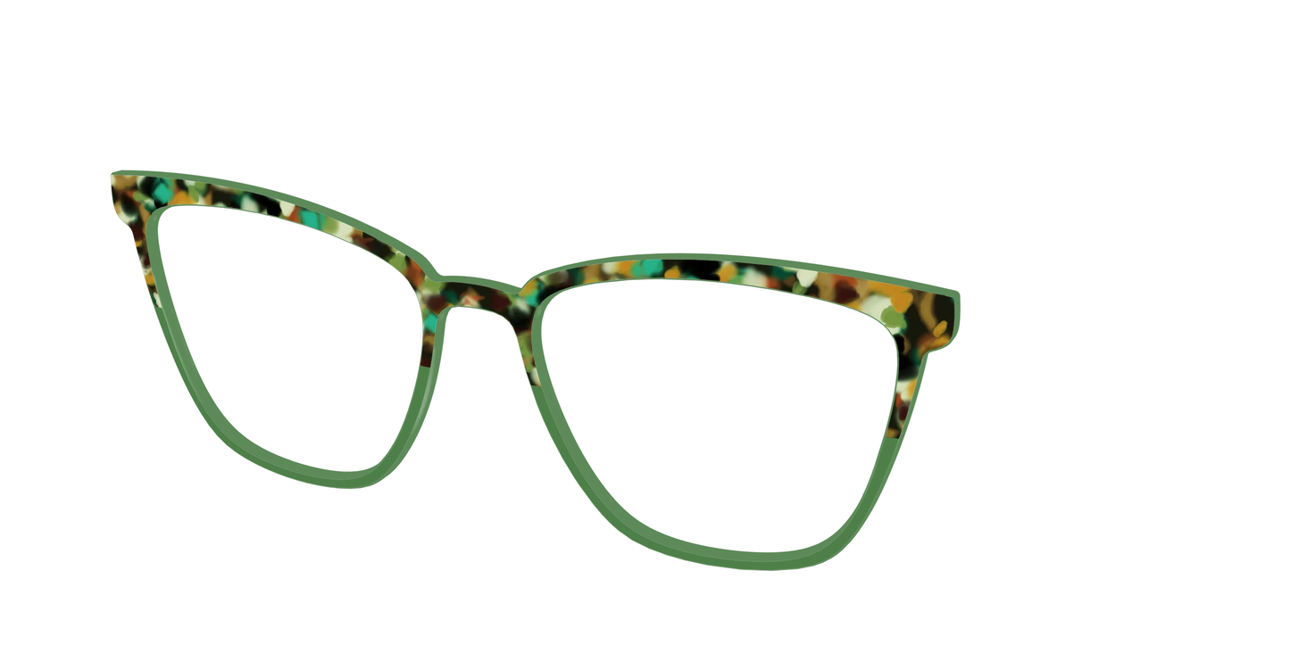 The Forest Tortoise Crystal Split