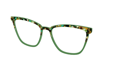 The Forest Tortoise Crystal Split
