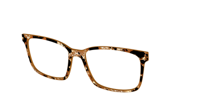 The Caramel Pearl Tortoise