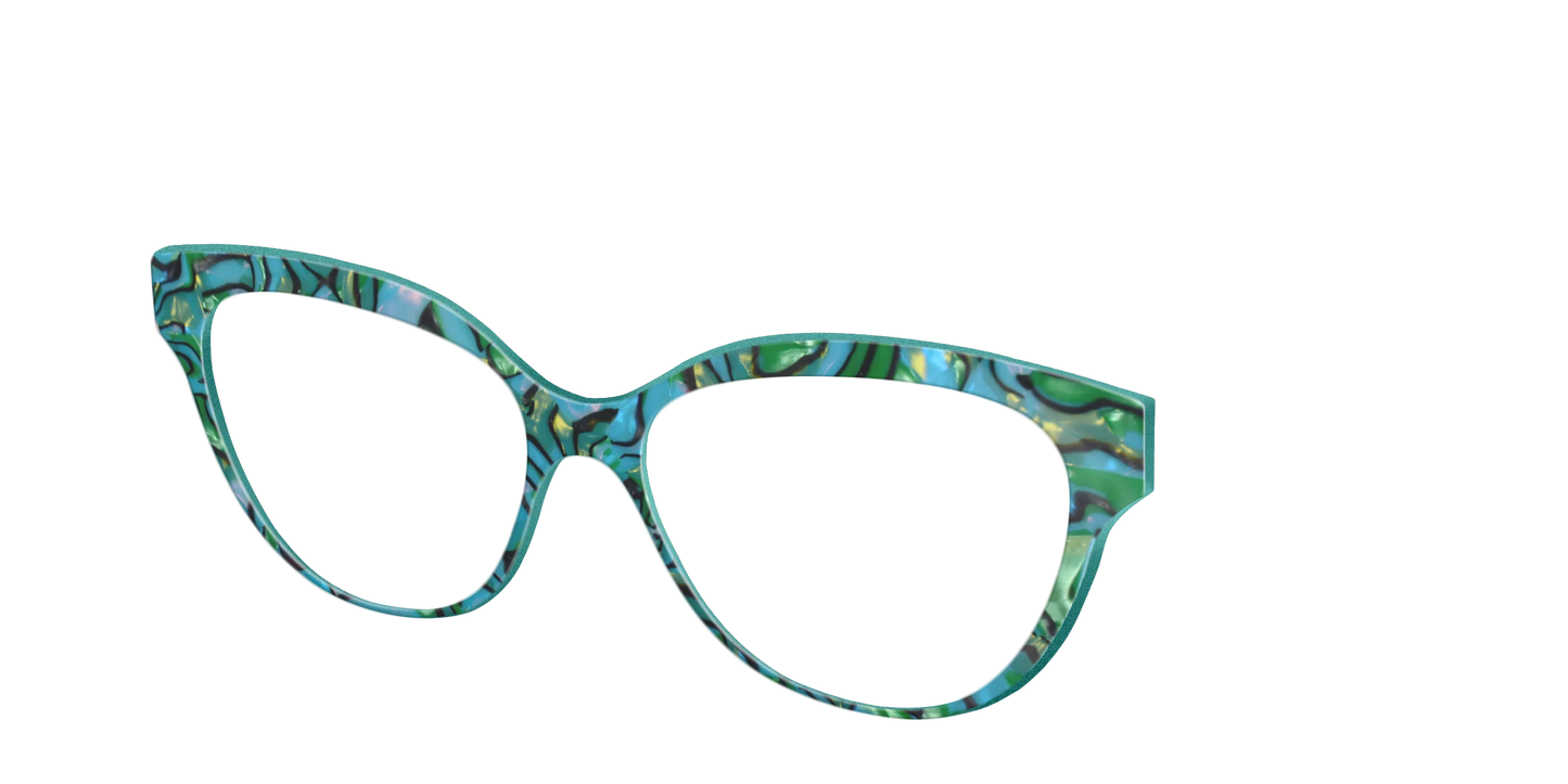 The Teal Turbo Shell