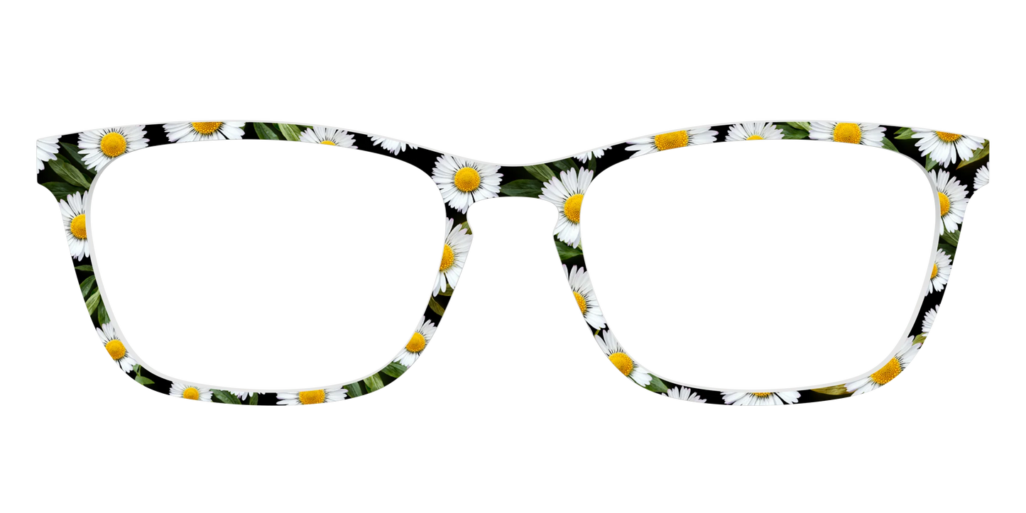The Delicate Daisies
