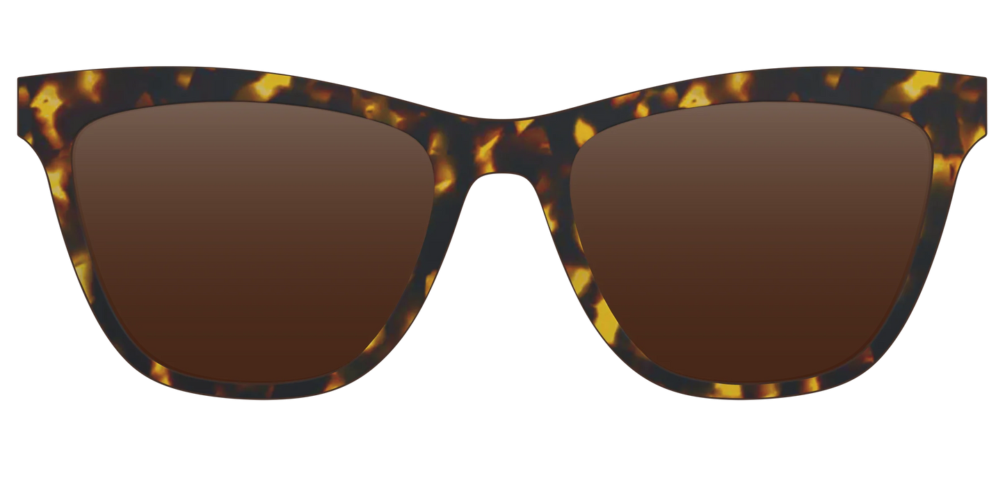 The Polarized Tortoise Sun Top