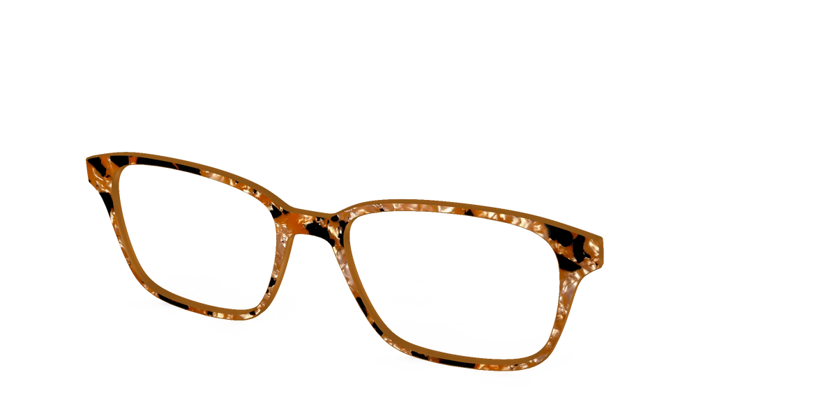 The Caramel Pearl Tortoise