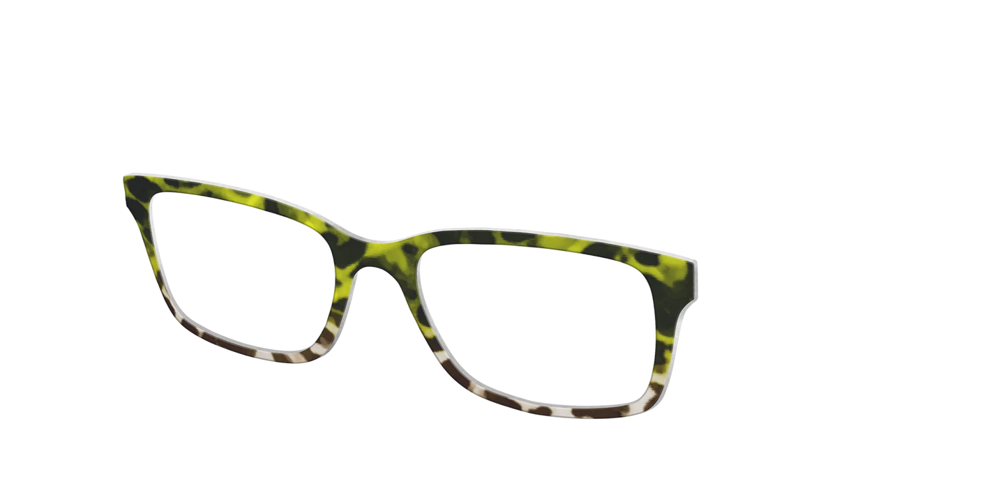 The Avocado to Ivory Tortoise