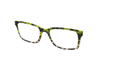 The Avocado to Ivory Tortoise