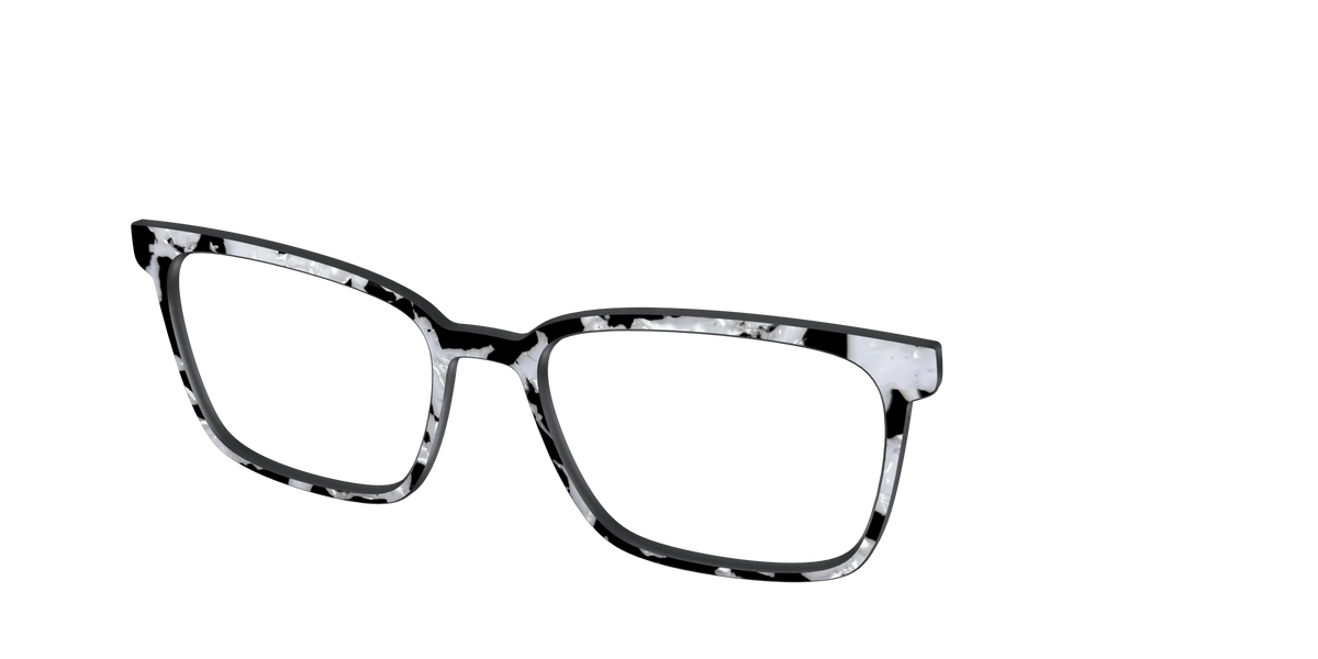 The Black & White Pearl Tortoise