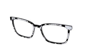 The Black & White Pearl Tortoise