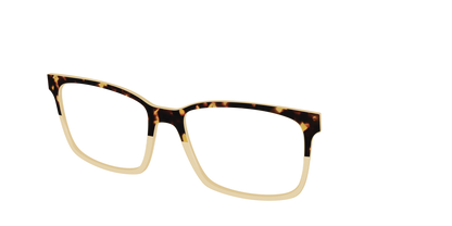 The Amber Tortoise Crystal Split